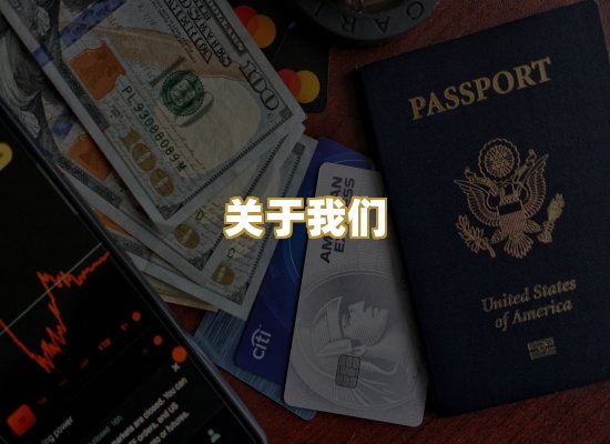 关于我们